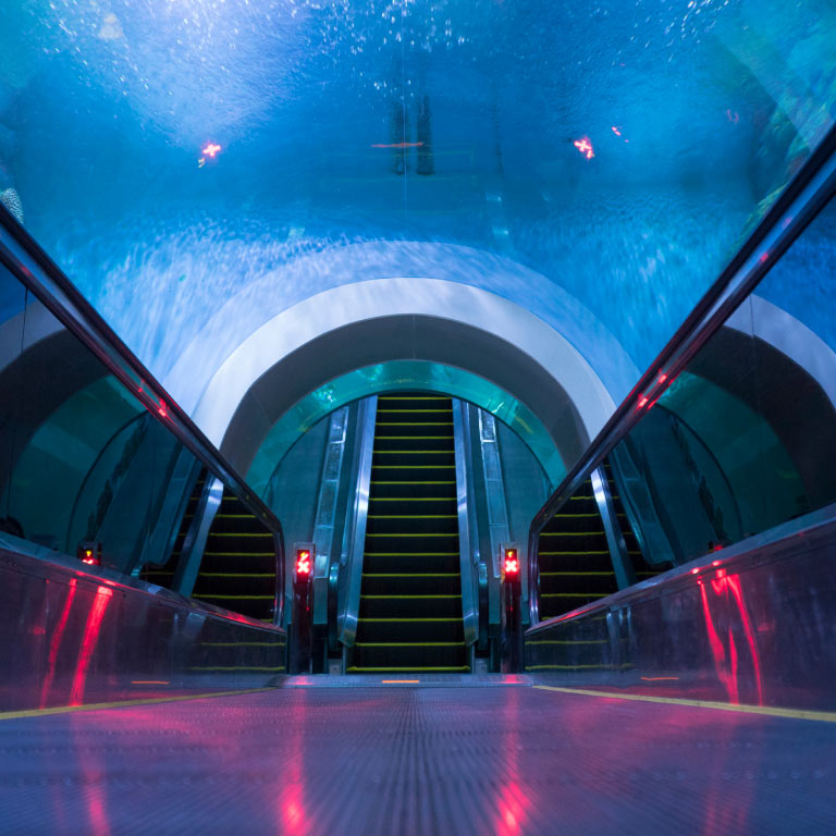 An escalator that is in a tunnel of an aquarium or body of water.