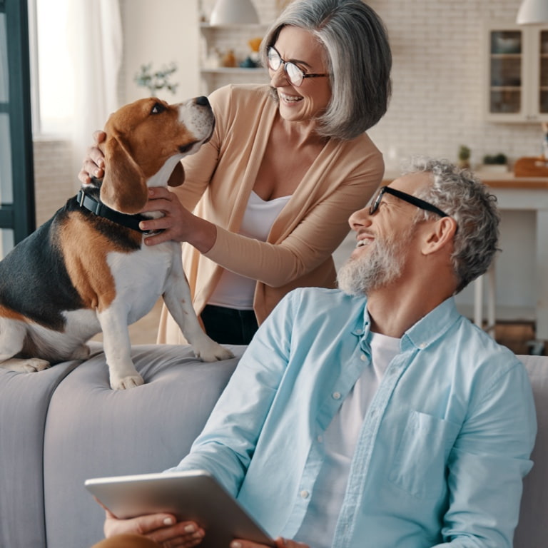 A greying couple by the couch playing with their dog.