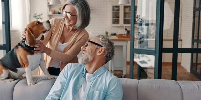 A greying couple by the couch playing with their dog.