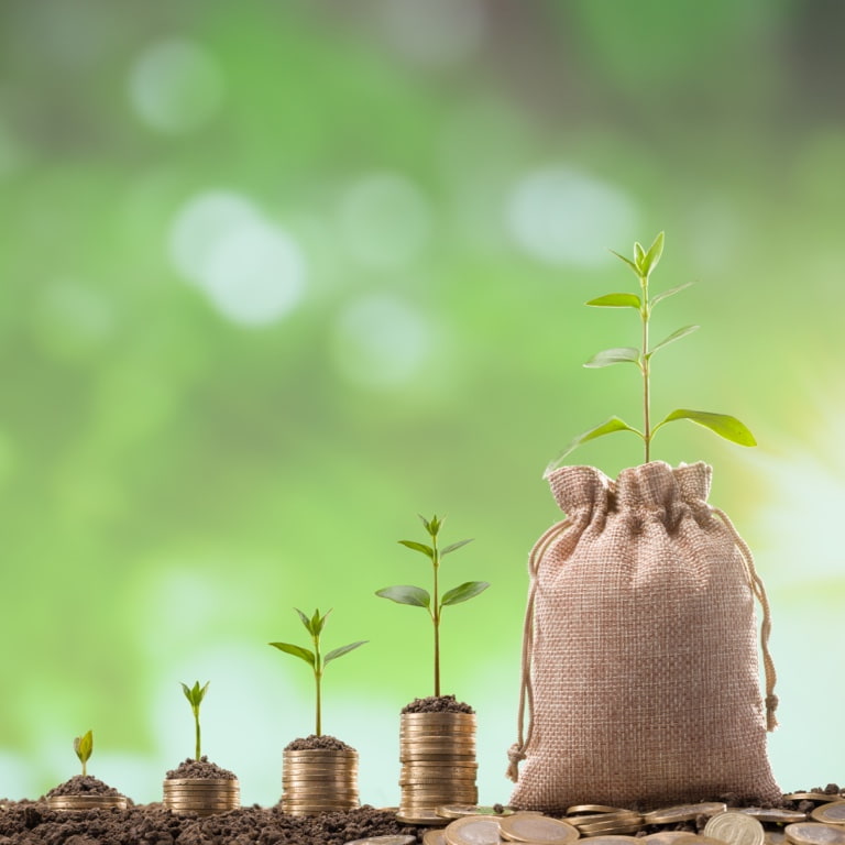 4 different sized piles of coins and a brown hessian bag with a small plant growing from each pile of coins and bag.