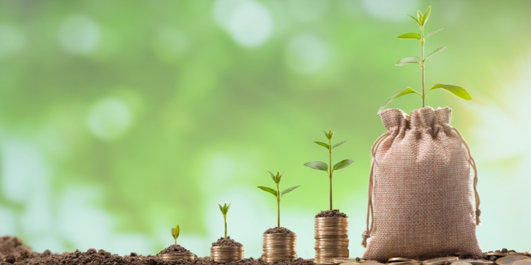 4 different sized piles of coins and a brown hessian bag with a small plant growing from each pile of coins and bag.