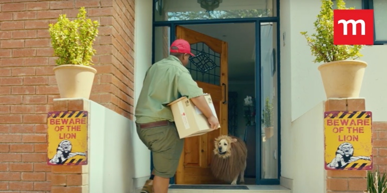 Delivery man faces friendly dog in lion costume standing at the door as he makes a delivery in Momentum Insure Science of Safety TV commercial.