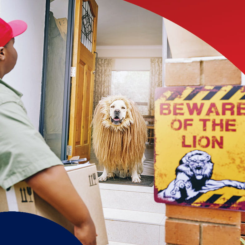 Delivery man faces friendly dog in lion costume standing at the door as he makes a delivery in Momentum Insure Science of Safety TV commercial.