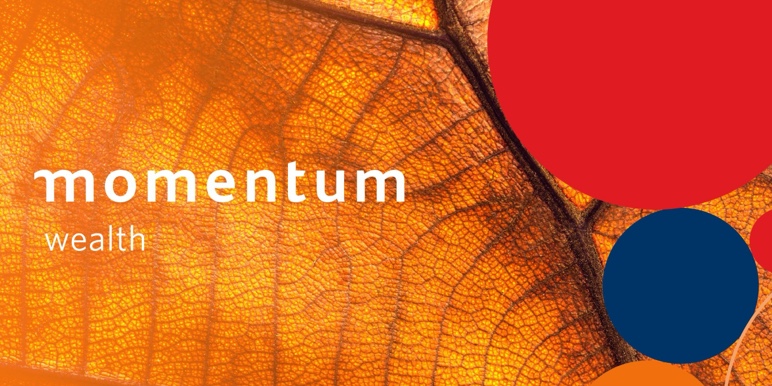 Momentum Investments Wealth Matters logo.
