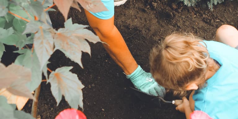 A grandparent teaching her young grandchild about gardening.
