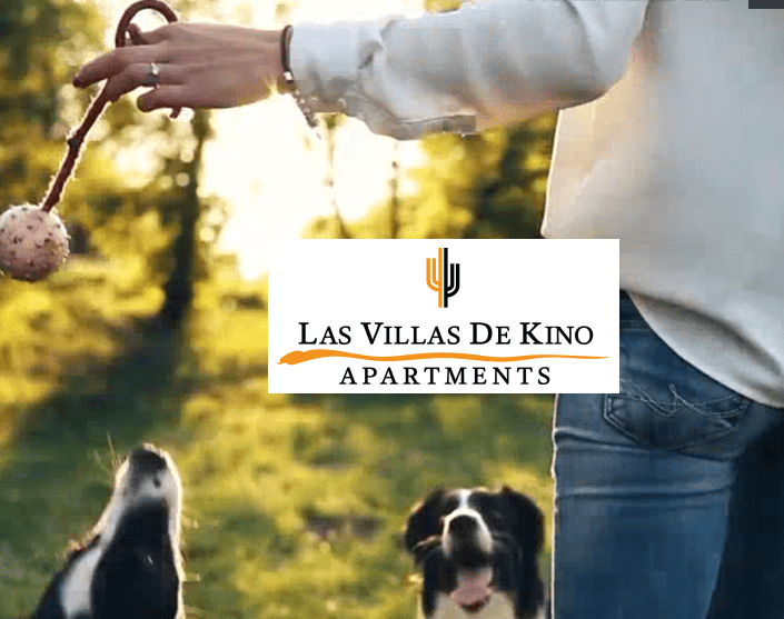 Las Villas De Kino Apartments: The Best & Easy Online Login… Las Villas De Kino Appartment logo